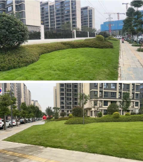 微信截图_20250806114731.png