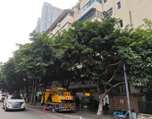 ScreenShot_2025-11-04_091423_251 ScreenShot_2025-11-04_091423_251.png