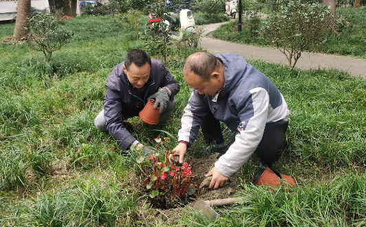 ScreenShot_2025-11-24_095236_604