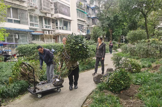 ScreenShot_2025-11-24_095247_324 ScreenShot_2025-11-24_095247_324.png