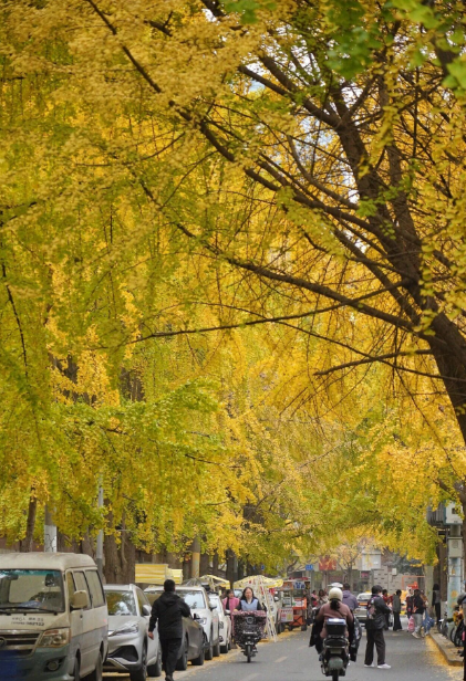 ScreenShot_2025-12-15_165509_840 ScreenShot_2025-12-15_165509_840.png