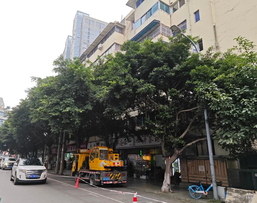 微信图片_2025-11-04_091438_865